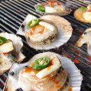 별똥별펜션 이미지