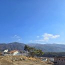 스테이 루비 이미지