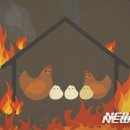 의성4농장 이미지