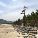 하서교 이미지
