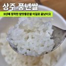 3년째 정착한 밥맛좋은쌀, 상주 풍년쌀 솔직 후기