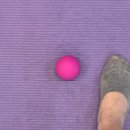 베어락 스트렝스 짐 이미지