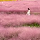 대덕대로1527번길 이미지