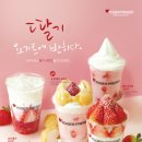 요거프레소천안 이미지