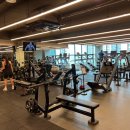 와일드 짐 이미지