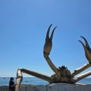 울진 거일1리어촌체험마을 이미지