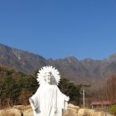 (주)대건드림