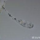 경상남도수산자원연구소
