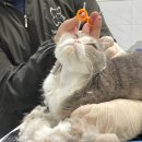 함께냥 평택점 이미지