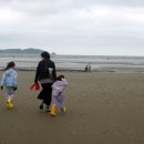 세리 이미지