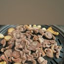 월척오리 이미지