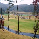 코스카cc 이미지