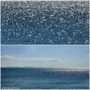 청주에서 이미지