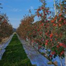 태송농원 이미지