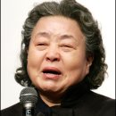 강부자