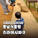 중부-현장-중부-800 | 오키나와 중부 가볼만한 곳 동남식물원 츠라야시파크 아이랑 후기