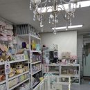 로던트클럽 강서마곡점 이미지