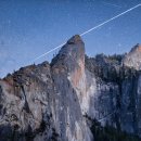 Body picnic 이미지