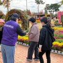 유성국화축제 [상담소 홍보] 이미지