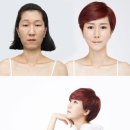 렛미인 헤럴드경제