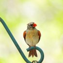 사진촬영과 표현 이미지