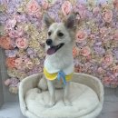 씻고놀개 이미지