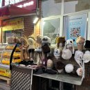 왕실탕후루 | 칭다오 Day2 팔대관 투어 순서 카페 추천, 입장료, 잔교 중산로 카페 거리