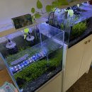 고모저수지 이미지