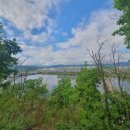 전계심의 묘비 이미지