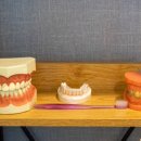 라임치과의원 이미지