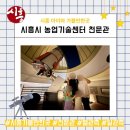 농업기술센터 가공동 | 시흥 아이와 가볼만한곳 | 시흥시농업기술센터 천문관 별보기 체험 후기