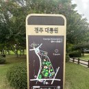 대릉원 화장실 네이버블로그