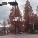 스시혼 | 창원 가로수길 웨이팅 맛집 스시혼 내돈내산 후기