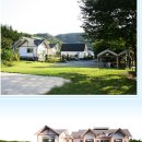 고요한아침 강가 이미지