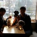 쁘띠시앙 이미지