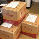 언북중학교 | [도쿄 워홀] 내 나이 30살, 워홀 결정 순간부터 출국까지의 기록