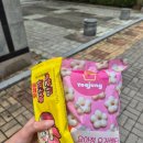 GS25연수 | GS25 간식 후기 :: 맛삼춘 만쥬, 칸쵸 이름 찾기, 요아정 요거렛타 추천 비추천 이유