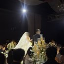 아너스 - 13198 | 합정 웨딩시그니처 뷔페 주차 atm기 아너스홀 결혼 하객 후기