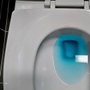 양주실내체육관 배드맨턴장 | 양주이사청소 완전 가이드: 입주 전 꼭 확인할 청소 포인트