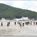 백양아파트경로당 이미지