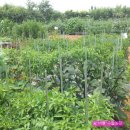 우미농장 이미지