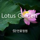 경인영농조합법인