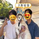 멍냥스푼 | 25년 장미빛 축제!! 장미향 가득~ 멍냥스푼과 함께한 플리마켓 🌹🐾