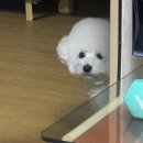 몽글몽글 이미지