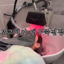 보그 | 죽전역 미용실 대구 헤드스파 후기 보그헤어 대구죽전점