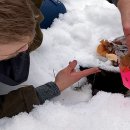 Fly PC Zone 이미지