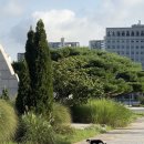 두산로9길 | 나의 달력을 꽉 채워줄래?