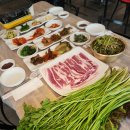 총각펜션 | 청도한재미나리 한재 총각미나리&amp;펜션 방문 후기 – 신선한 미나리와 삼겹살의 환상 조합