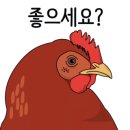 건강필약국 네이버블로그