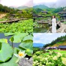 웅석봉초록길 | 한국에서 가장 아름다운 사찰! 경남 사찰 산청 수선사